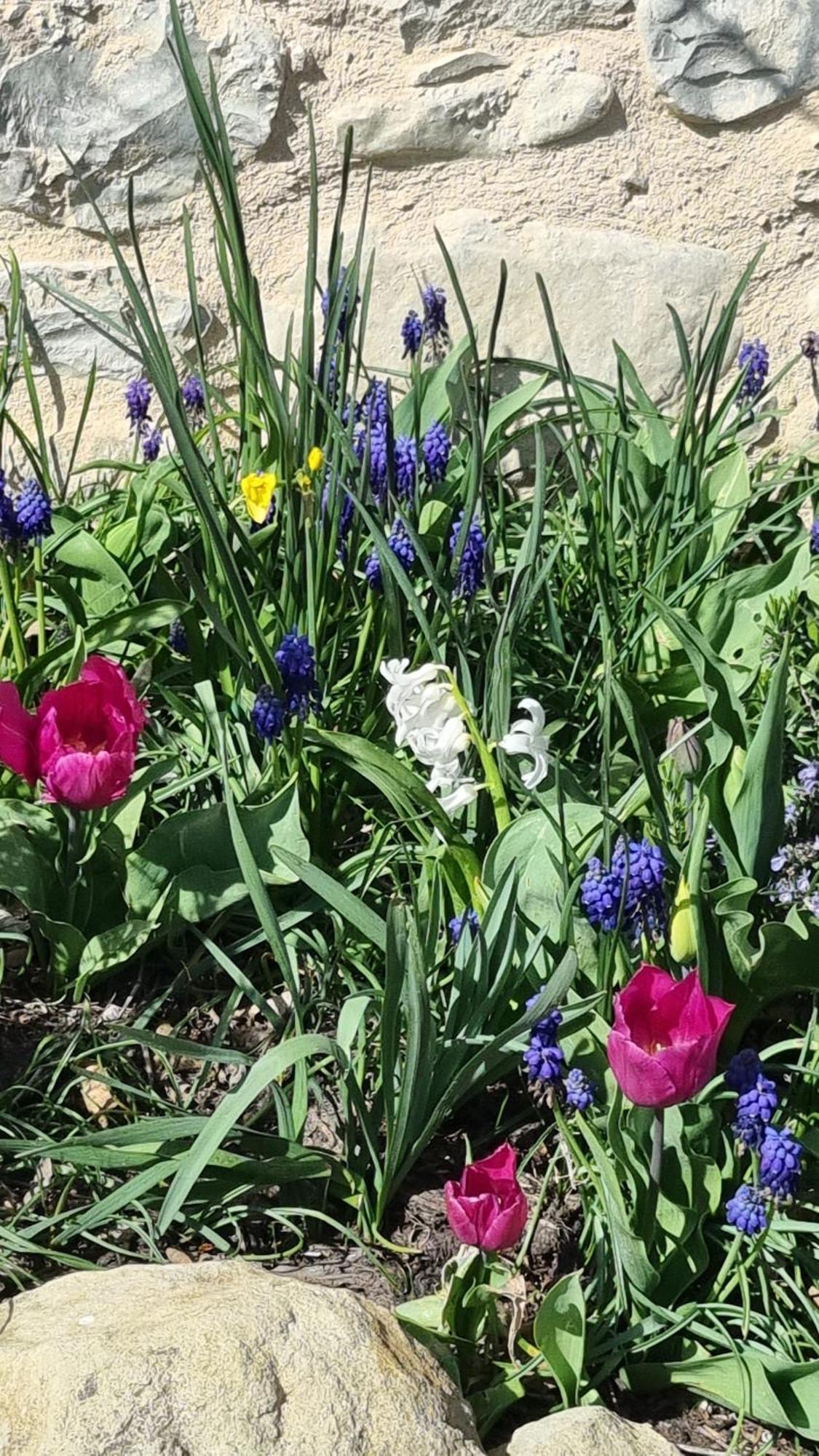 Mas Tulipe de Soie Bevons Exterior foto